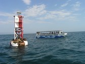 Enlarge photo 30
