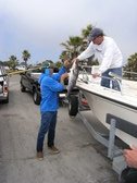 sbsfc sea bass tournament
