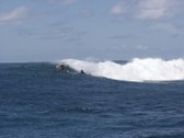 Moorea Surf