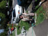 Enlarge photo 20
