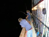 Enlarge photo 34