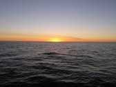 Enlarge photo 46