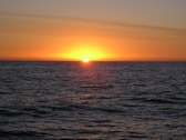 Enlarge photo 47