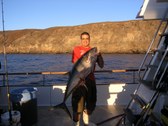 Enlarge photo 50
