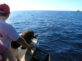 Enlarge photo 62