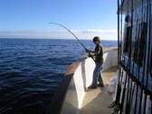 Enlarge photo 82
