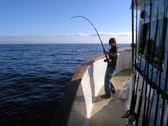Enlarge photo 83
