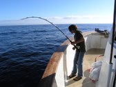 Enlarge photo 84