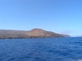 Enlarge photo 91