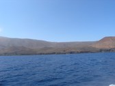 Enlarge photo 92