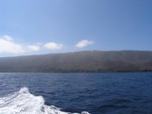 Enlarge photo 93