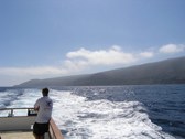 Enlarge photo 94