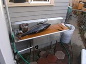 Enlarge photo 117