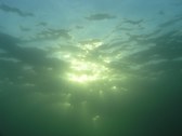 underwater campus point
