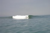 Enlarge photo 44