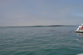 Enlarge photo 45