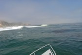 Enlarge photo 50