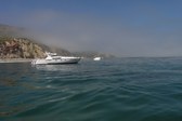 Enlarge photo 53