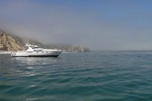 Enlarge photo 54