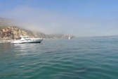 Enlarge photo 57