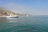 Enlarge photo 59