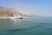 Enlarge photo 61