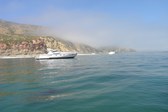 Enlarge photo 62