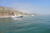 Enlarge photo 63