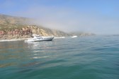 Enlarge photo 64