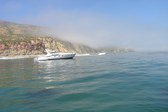Enlarge photo 65
