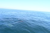 Enlarge photo 68