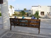 Enlarge photo 43