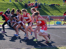 Enlarge photo 214