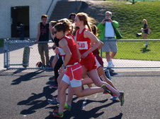 Enlarge photo 217