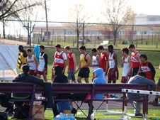 Enlarge photo 274
