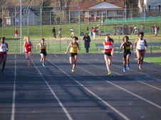 Enlarge photo 319