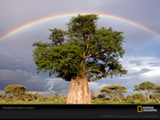 Enlarge photo 265