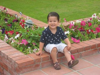 Enlarge photo 24