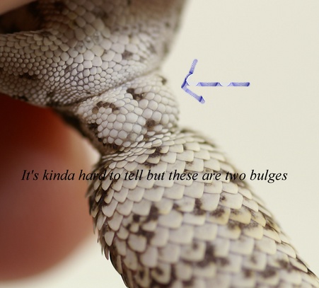 Enlarge photo 53