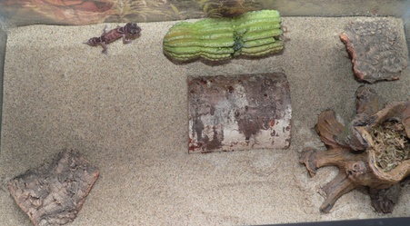 Enlarge photo 9