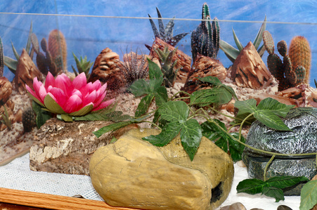 Enlarge photo 23