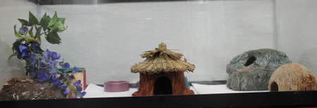 Enlarge photo 5