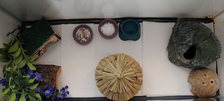 Enlarge photo 6