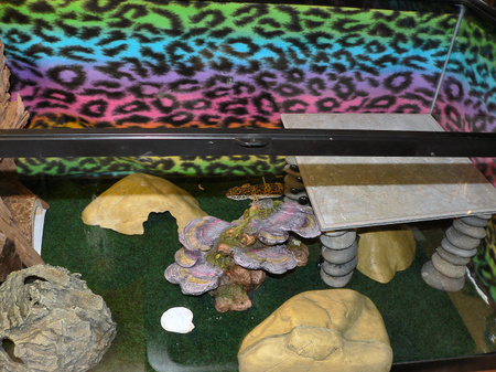 Enlarge photo 57