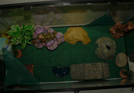 Enlarge photo 31