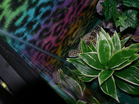 Enlarge photo 34
