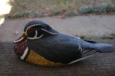Enlarge photo 38