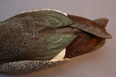 Enlarge photo 34