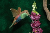 Enlarge photo 4