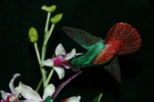 Enlarge photo 49